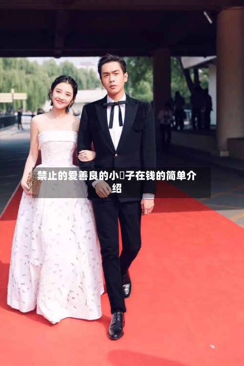 禁止的爱善良的小蛦子在钱的简单介绍
