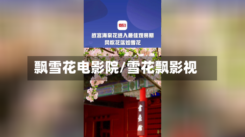 飘雪花电影院/雪花飘影视