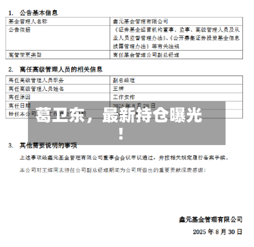 葛卫东，最新持仓曝光！-第2张图片