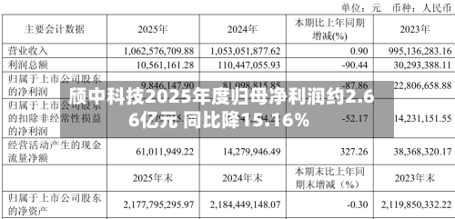 颀中科技2025年度归母净利润约2.66亿元 同比降15.16%