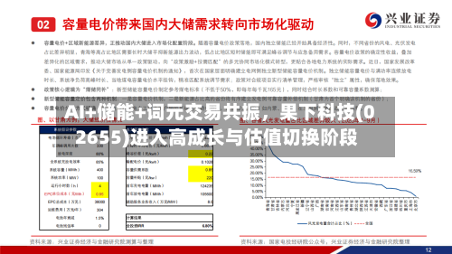 AI+储能+词元交易共振	，果下科技(02655)进入高成长与估值切换阶段-第3张图片