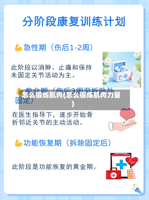 怎么锻炼肌肉(怎么锻炼肌肉力量)-第1张图片