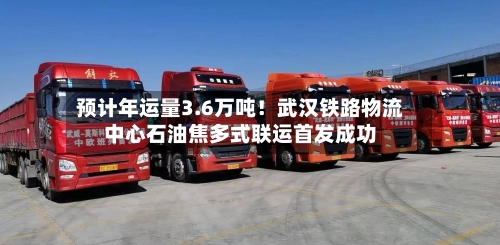 预计年运量3.6万吨!武汉铁路物流中心石油焦多式联运首发成功-第2张图片