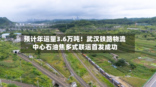 预计年运量3.6万吨!武汉铁路物流中心石油焦多式联运首发成功-第3张图片