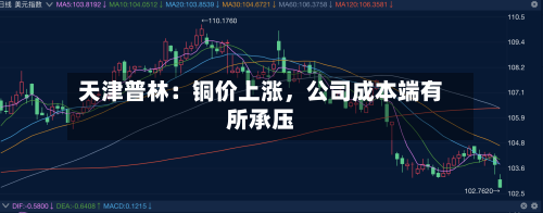 天津普林：铜价上涨，公司成本端有所承压-第2张图片
