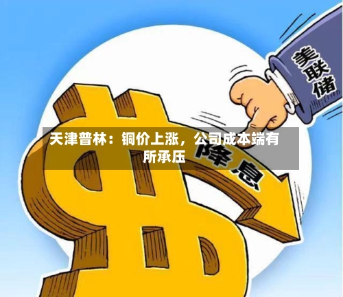 天津普林：铜价上涨	，公司成本端有所承压-第3张图片