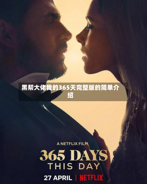 黑帮大佬我的365天完整版的简单介绍