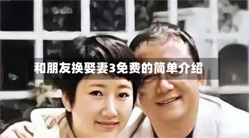 和朋友换娶妻3免费的简单介绍