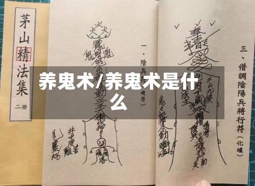 养鬼术/养鬼术是什么