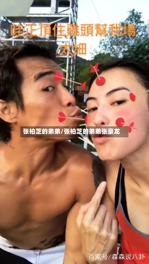 张柏芝的弟弟/张柏芝的弟弟张豪龙