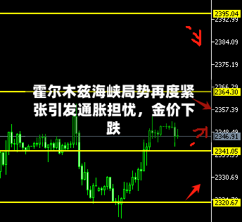 霍尔木兹海峡局势再度紧张引发通胀担忧，金价下跌