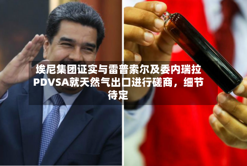 埃尼集团证实与雷普索尔及委内瑞拉PDVSA就天然气出口进行磋商，细节待定