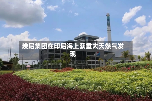 埃尼集团在印尼海上获重大天然气发现-第1张图片