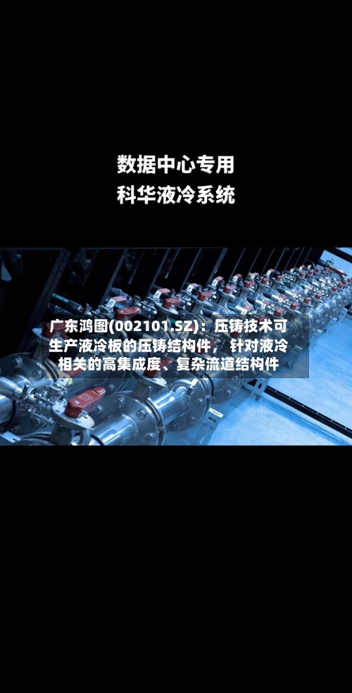 广东鸿图(002101.SZ)：压铸技术可生产液冷板的压铸结构件， 针对液冷相关的高集成度、复杂流道结构件