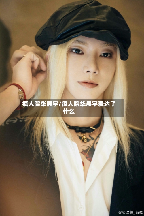 疯人院华晨宇/疯人院华晨宇表达了什么