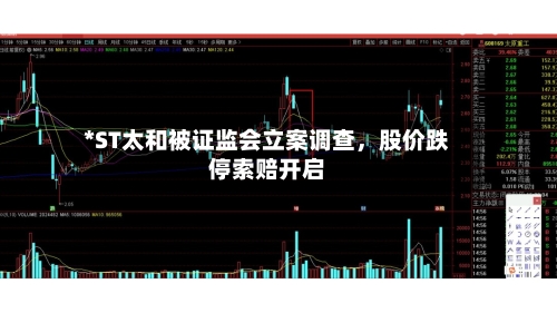 *ST太和被证监会立案调查	，股价跌停索赔开启-第1张图片