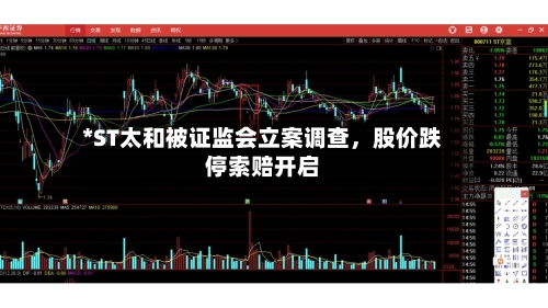 *ST太和被证监会立案调查，股价跌停索赔开启-第2张图片