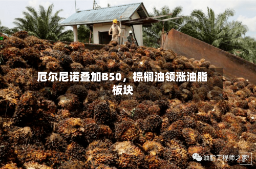 厄尔尼诺叠加B50，棕榈油领涨油脂板块-第2张图片