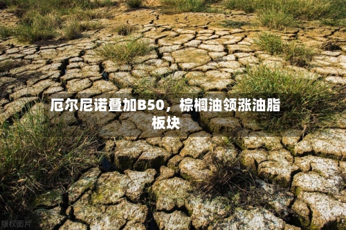 厄尔尼诺叠加B50	，棕榈油领涨油脂板块-第1张图片