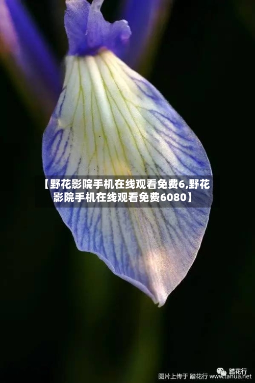 【野花影院手机在线观看免费6,野花影院手机在线观看免费6080】