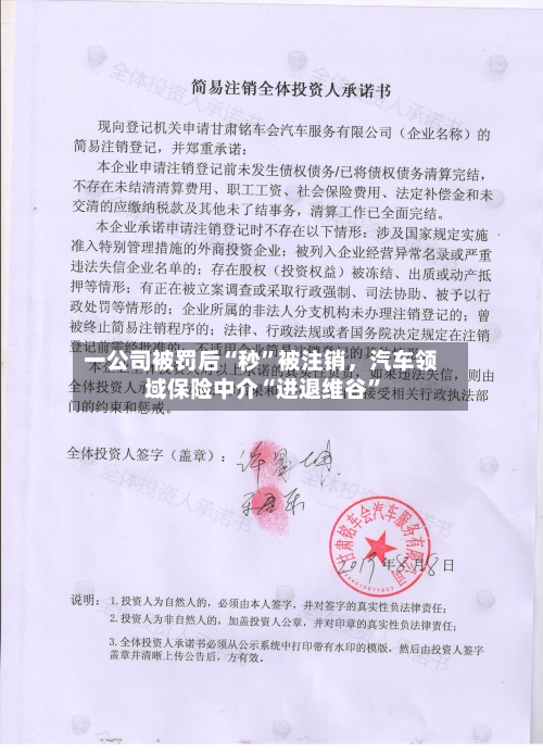 一公司被罚后“秒	”被注销，汽车领域保险中介“进退维谷”-第2张图片