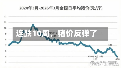 连跌10周，猪价反弹了-第3张图片