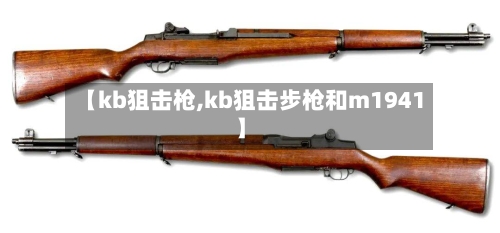 【kb狙击枪,kb狙击步枪和m1941】