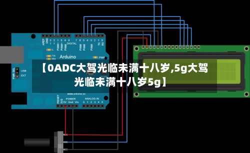 【0ADC大驾光临未满十八岁,5g大驾光临未满十八岁5g】
