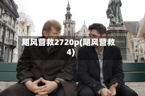 飓风营救2720p(飓风营救4)