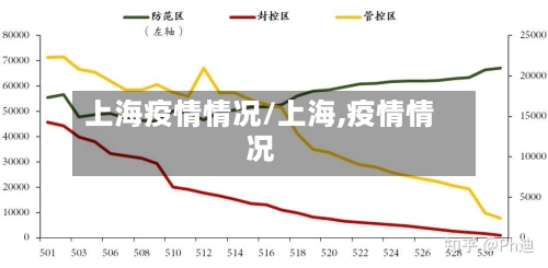 上海疫情情况/上海,疫情情况
