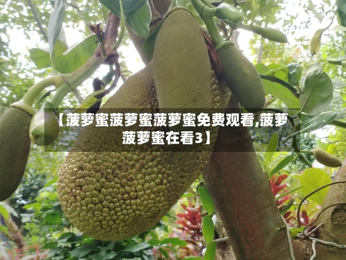 【菠萝蜜菠萝蜜菠萝蜜免费观看,菠萝菠萝蜜在看3】