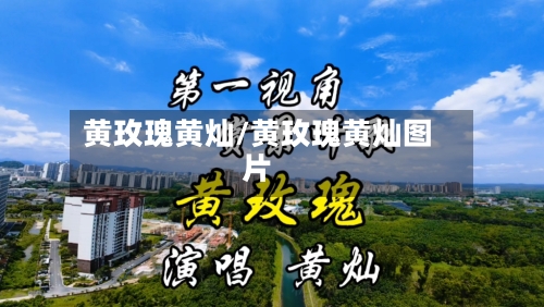 黄玫瑰黄灿/黄玫瑰黄灿图片