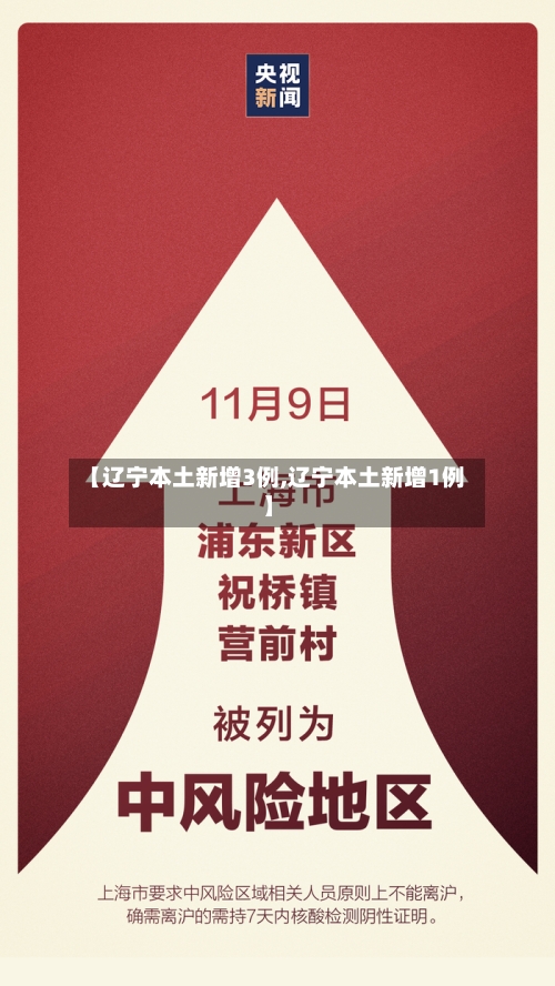 【辽宁本土新增3例,辽宁本土新增1例】-第3张图片