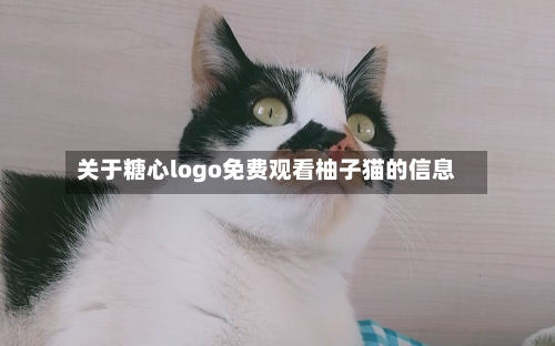 关于糖心logo免费观看柚子猫的信息-第1张图片