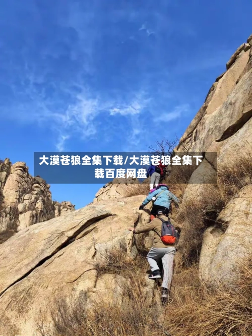 大漠苍狼全集下载/大漠苍狼全集下载百度网盘-第1张图片