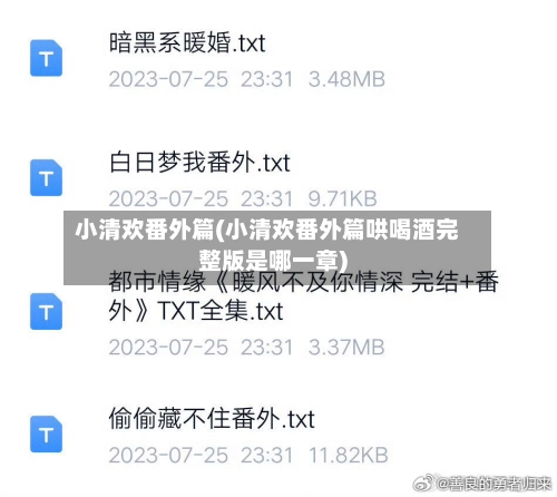 小清欢番外篇(小清欢番外篇哄喝酒完整版是哪一章)-第2张图片