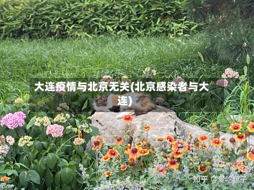 大连疫情与北京无关(北京感染者与大连)-第1张图片