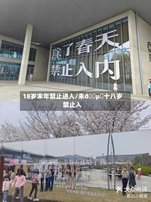 18岁末年禁止进入/未🈵️十八岁禁止入内