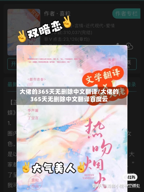 大佬的365天无删除中文翻译/大佬的365天无删除中文翻译百度云