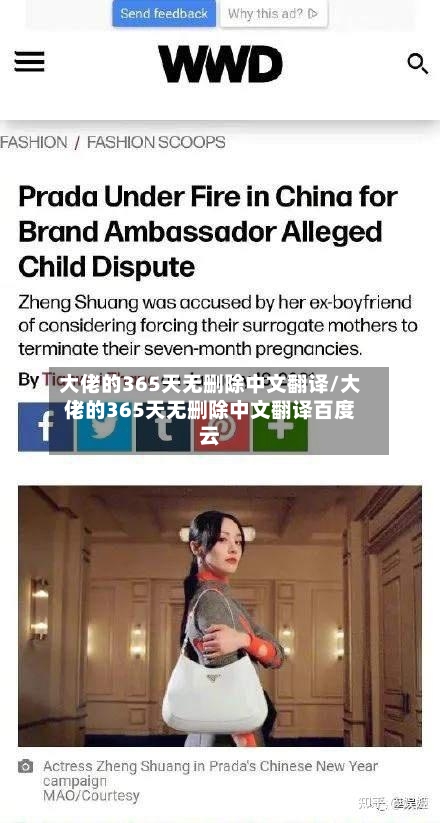 大佬的365天无删除中文翻译/大佬的365天无删除中文翻译百度云-第3张图片