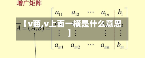 【v商,v上面一横是什么意思】-第1张图片