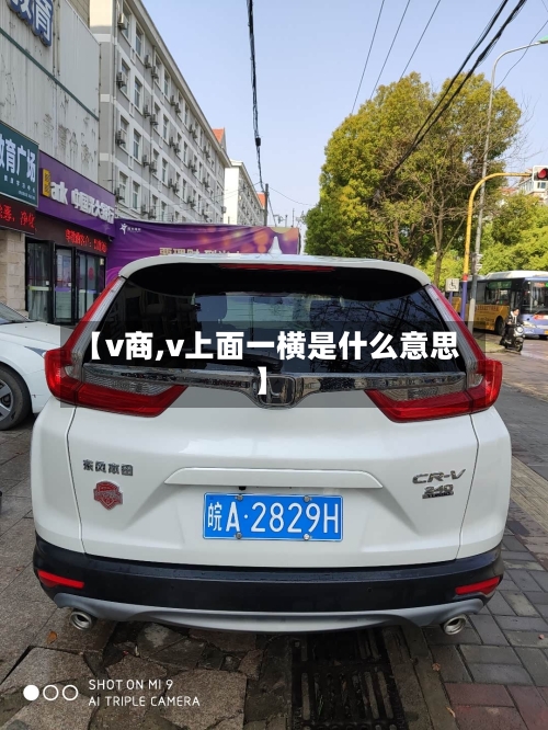 【v商,v上面一横是什么意思】-第2张图片
