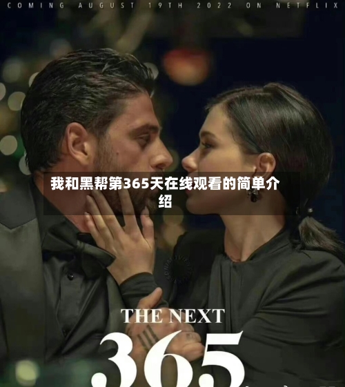 我和黑帮第365天在线观看的简单介绍