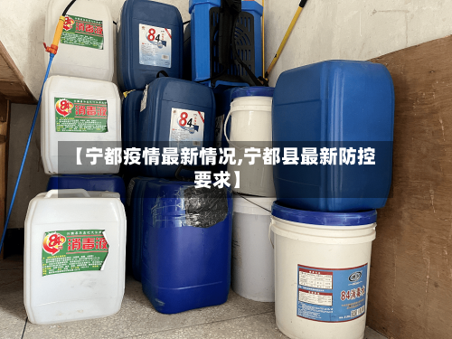 【宁都疫情最新情况,宁都县最新防控要求】-第3张图片