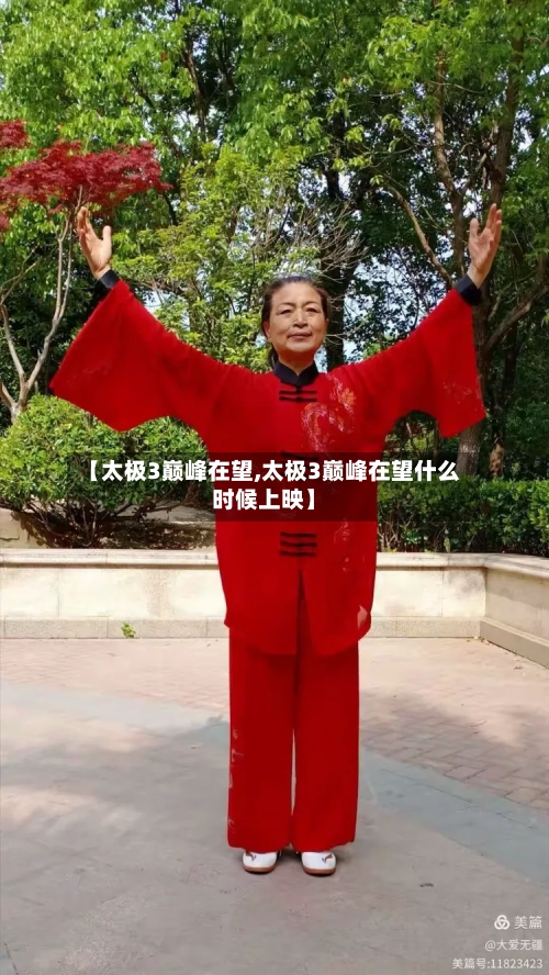【太极3巅峰在望,太极3巅峰在望什么时候上映】-第3张图片
