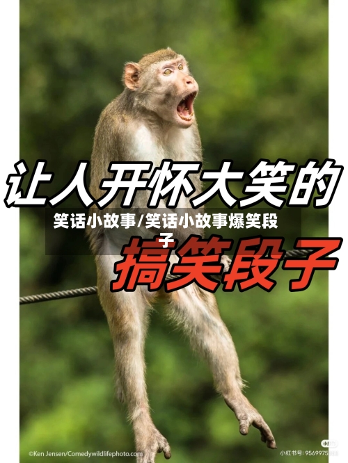 笑话小故事/笑话小故事爆笑段子-第1张图片