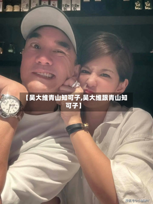 【吴大维青山知可子,吴大维跟青山知可子】-第3张图片