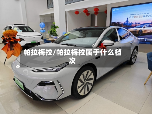 帕拉梅拉/帕拉梅拉属于什么档次-第2张图片