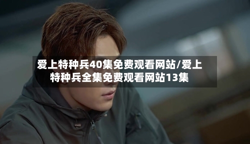 爱上特种兵40集免费观看网站/爱上特种兵全集免费观看网站13集-第1张图片