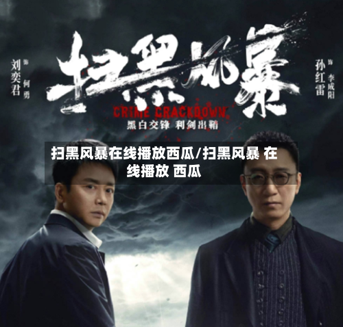 扫黑风暴在线播放西瓜/扫黑风暴 在线播放 西瓜